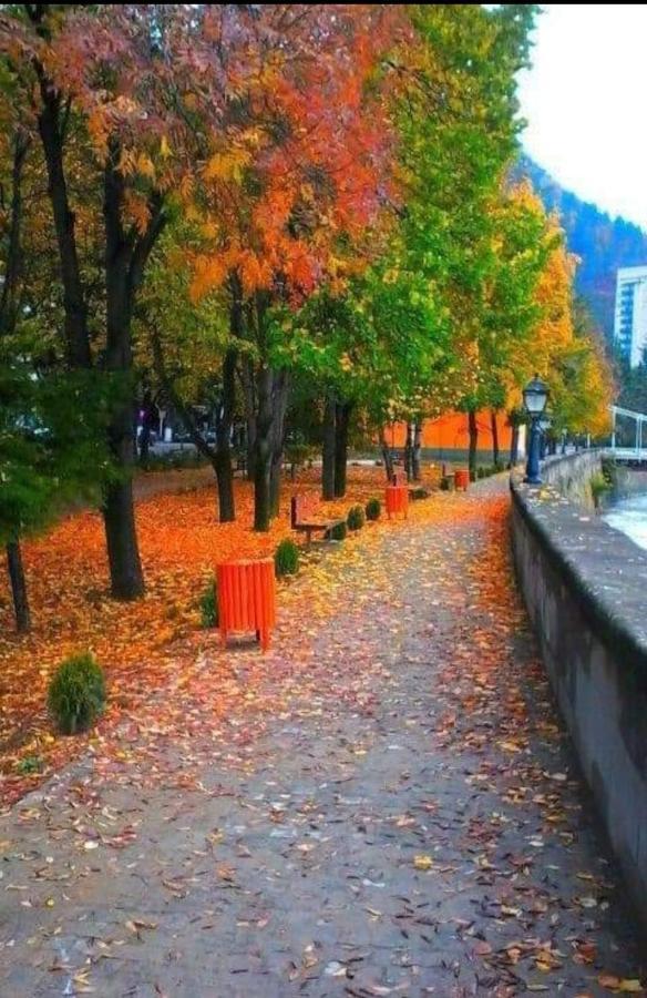 Gamsakhurdia Street Borjomi ภายนอก รูปภาพ