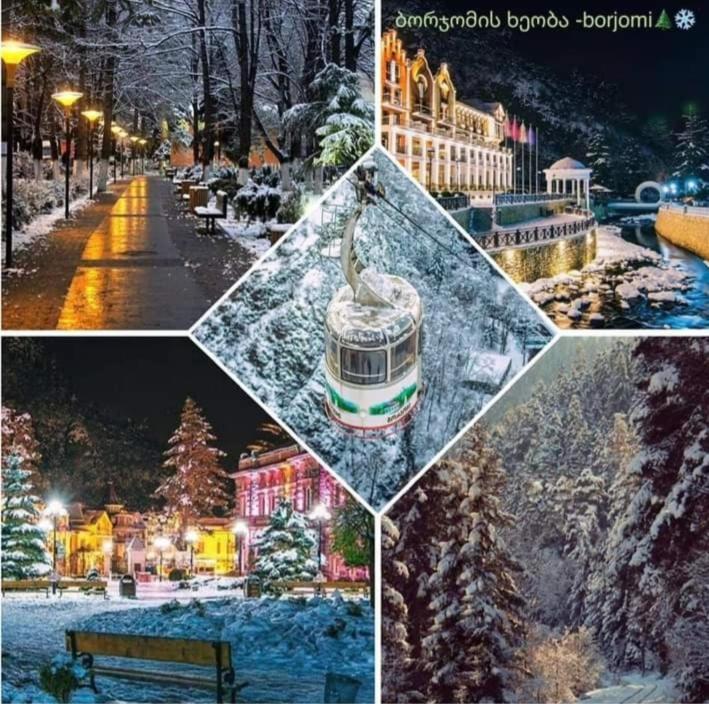 Gamsakhurdia Street Borjomi ภายนอก รูปภาพ