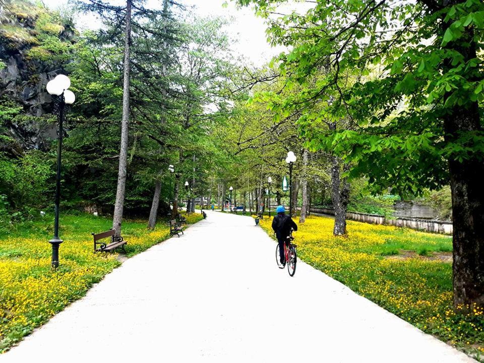 Gamsakhurdia Street Borjomi ภายนอก รูปภาพ