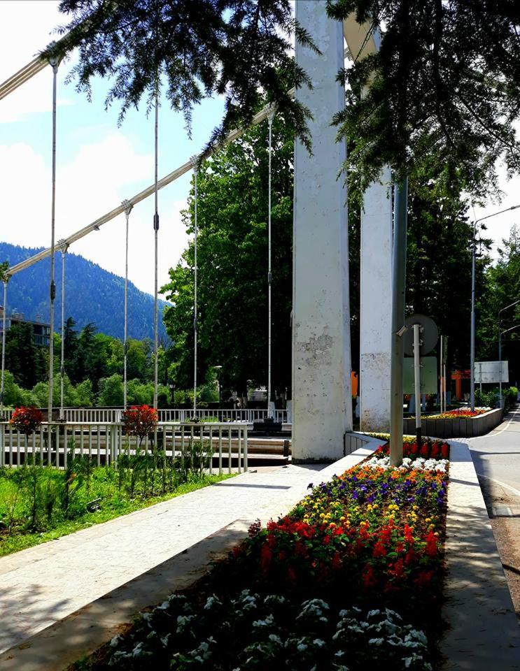 Gamsakhurdia Street Borjomi ภายนอก รูปภาพ